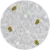 Abelhas